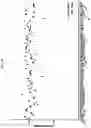 Fig. 30 - Novel Phenyl Derivatives