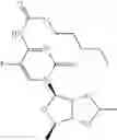 Fig. 55 - 5-fluorouracil compounds
