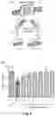 Fig. 07 - Multivalent ligand for myotonic dystrophy