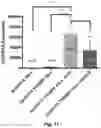 Fig. 11 - Multivalent ligand for myotonic dystrophy