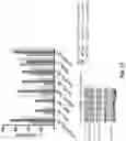 Fig. 12 - Multivalent ligand for myotonic dystrophy