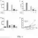 Fig. 09 - THERAPEUTIC AURONES