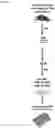 Fig. 02 - Therapeutic compounds and uses thereof