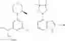 Fig. 218 - ATR inhibitor and application thereof