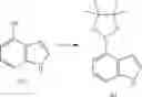 Fig. 61 - ATR inhibitor and application thereof
