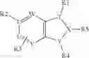 Fig. 07 - Pharmaceutical 6,5 Heterobicyclic Ring Derivatives