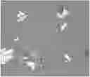 Fig. 01 - Crystal form of 2-(6-methyl-pyridin-2-yl)-3-yl-[6-amido-quinolin-4-yl]-5,6-dihydro-4H-pyrrolo[1,2-B]pyrazole, preparation method therefor and pharmaceutical composition thereof