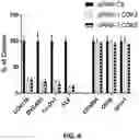Fig. 07 - Sulfonylamide compounds as CDK2 inhibitors