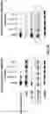 Fig. 15 - Sulfonylamide compounds as CDK2 inhibitors