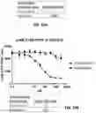 Fig. 17 - Sulfonylamide compounds as CDK2 inhibitors