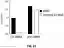 Fig. 20 - Sulfonylamide compounds as CDK2 inhibitors