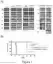 Fig. 02 - Compounds and methods for the treatment of malaria