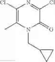 Fig. 14 - Substituted [1,2,4]triazolo[4,3-a]pyrazines as phosphodiesterase inhibitors