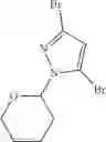 Fig. 62 - Pyrazolo[1,5-a]pyrazin-4-yl derivatives