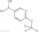 Fig. 252 - Inhibitors of TRPC6