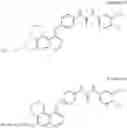 Fig. 16 - Urea-substituted aromatic ring-linked dioxinoquinoline compounds, preparation method and uses thereof