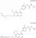 Fig. 43 - Urea-substituted aromatic ring-linked dioxinoquinoline compounds, preparation method and uses thereof
