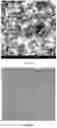 Fig. 06 - Polymorphs and solid forms of (s)-2-((2-((s)-4-(difluoromethyl)-2-oxooxazolidin-3-yl)-5,6-dihydrobenzo[f]imidazo[1,2-d][1,4]oxazepin-9-yl)amino)propanamide, and methods of production