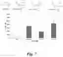Fig. 08 - Prodrugs of prostate specific membrane antigen (PSMA) inhibitor