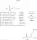 Fig. 143 - Prodrugs of prostate specific membrane antigen (PSMA) inhibitor