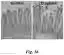 Fig. 17 - Prodrugs of prostate specific membrane antigen (PSMA) inhibitor