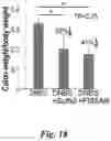 Fig. 19 - Prodrugs of prostate specific membrane antigen (PSMA) inhibitor