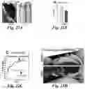 Fig. 22 - Prodrugs of prostate specific membrane antigen (PSMA) inhibitor