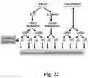 Fig. 23 - Prodrugs of prostate specific membrane antigen (PSMA) inhibitor