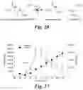 Fig. 27 - Prodrugs of prostate specific membrane antigen (PSMA) inhibitor