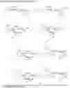 Fig. 01 - Heterobifunctional inhibitors of E-selectin and galectin-3