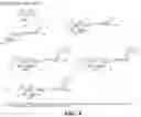 Fig. 04 - Heterobifunctional inhibitors of E-selectin and galectin-3