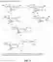 Fig. 08 - Heterobifunctional inhibitors of E-selectin and galectin-3