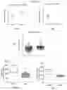 Fig. 03 - Uridine nucleoside derivatives, compositions and methods of use