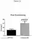 Fig. 19 - Uridine nucleoside derivatives, compositions and methods of use