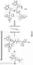 Fig. 03 - Deoxynucleic Guanidines (DNG)- Modified Oligonucleotides and Methods of Synthesizing Deoxynucleic Guanidine Strands