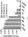 Fig. 09 - Deoxynucleic Guanidines (DNG)- Modified Oligonucleotides and Methods of Synthesizing Deoxynucleic Guanidine Strands