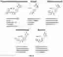 Fig. 15 - Deoxynucleic Guanidines (DNG)- Modified Oligonucleotides and Methods of Synthesizing Deoxynucleic Guanidine Strands