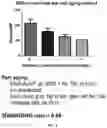 Fig. 23 - Deoxynucleic Guanidines (DNG)- Modified Oligonucleotides and Methods of Synthesizing Deoxynucleic Guanidine Strands