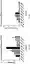 Fig. 29 - Deoxynucleic Guanidines (DNG)- Modified Oligonucleotides and Methods of Synthesizing Deoxynucleic Guanidine Strands