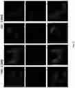 Fig. 31 - Deoxynucleic Guanidines (DNG)- Modified Oligonucleotides and Methods of Synthesizing Deoxynucleic Guanidine Strands