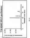 Fig. 33 - Deoxynucleic Guanidines (DNG)- Modified Oligonucleotides and Methods of Synthesizing Deoxynucleic Guanidine Strands