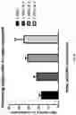 Fig. 37 - Deoxynucleic Guanidines (DNG)- Modified Oligonucleotides and Methods of Synthesizing Deoxynucleic Guanidine Strands