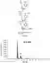 Fig. 40 - Deoxynucleic Guanidines (DNG)- Modified Oligonucleotides and Methods of Synthesizing Deoxynucleic Guanidine Strands