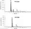 Fig. 41 - Deoxynucleic Guanidines (DNG)- Modified Oligonucleotides and Methods of Synthesizing Deoxynucleic Guanidine Strands