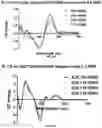 Fig. 44 - Deoxynucleic Guanidines (DNG)- Modified Oligonucleotides and Methods of Synthesizing Deoxynucleic Guanidine Strands