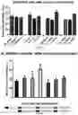 Fig. 48 - Deoxynucleic Guanidines (DNG)- Modified Oligonucleotides and Methods of Synthesizing Deoxynucleic Guanidine Strands