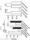 Fig. 03 - COMPOUNDS AND METHODS FOR ELICITING ANTIMICROBIAL ACTIVITY
