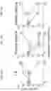 Fig. 14 - COMPOUNDS AND METHODS FOR ELICITING ANTIMICROBIAL ACTIVITY