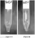 Fig. 07 - SELF-ASSEMBLING PEPTIDE COMPOSITIONS