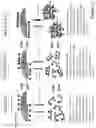 Fig. 13 - SELF-ASSEMBLING PEPTIDE COMPOSITIONS
